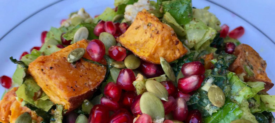 A Healthy Variety of Plant Based Thanksgiving Recipes